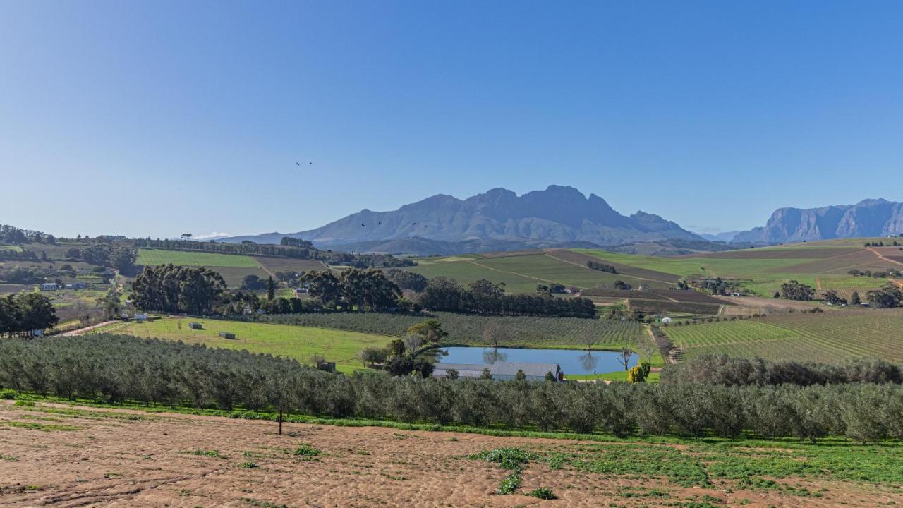 The Salene Hotel & Cottages Stellenbosch Extérieur photo